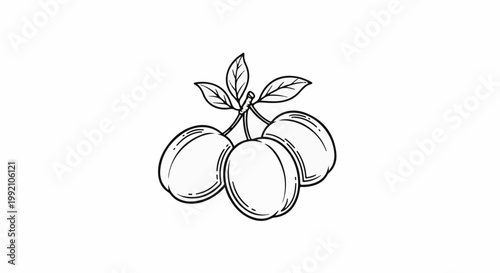Three plums on a branch with leaves