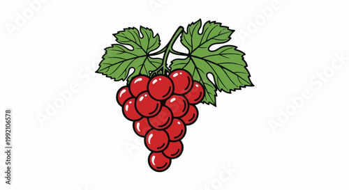 Vibrant bunch of red grapes with green leaves on a white background