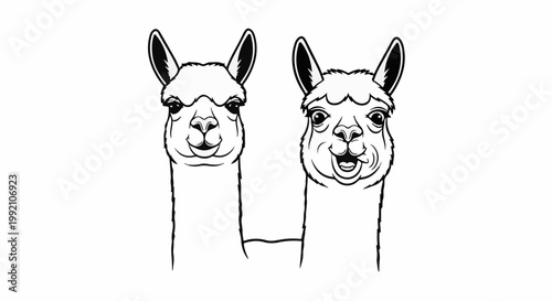 Two cartoon llamas in a close-up portrait, one looks serious, the other silly