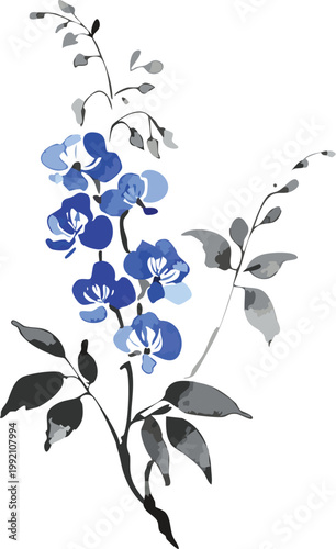 Chinese asian style watercolor painting of blue pea blossom vines, stylized brush strokes transparent vector digital illustration of botanical flowers, floral drawing japanese ink wash gouache graphic