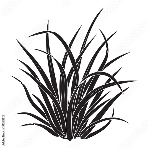 Grass silhouette vector illustration of a wild plant clump for minimalist nature design