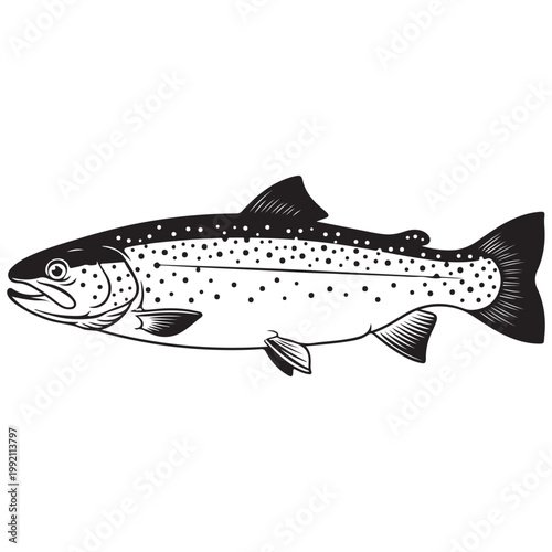 Trout fish vector illustration in black and white line art style for fishing logo and outdoor branding