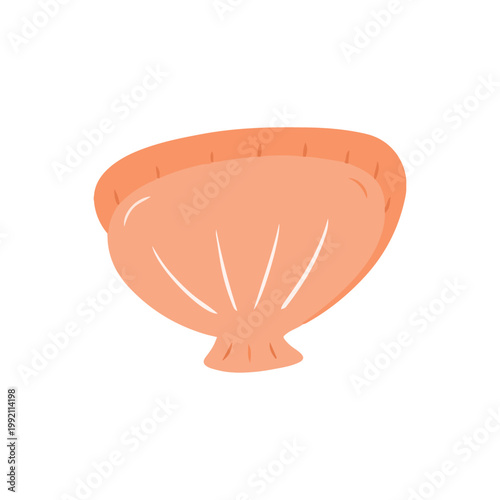 Peach Sea Shell Coastal Decor Illustration