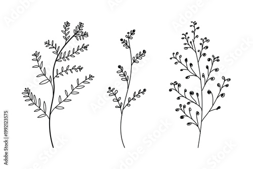Handdrawn natural lined leaf design, abstract botnical desing, floral elements