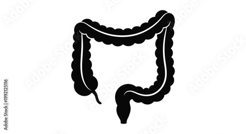 Detailed illustration of the human large intestine a black silhouette