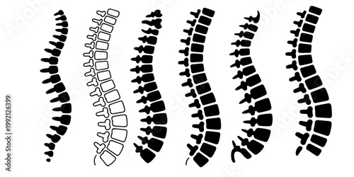 Human spine anatomy silhouettes set vertebral column medical illustration different styles black and white