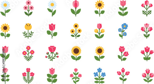 Assorted single flowers and small floral clusters isolated on white background vector