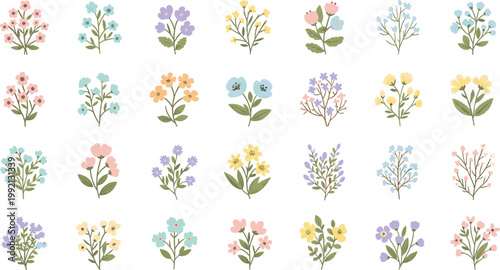 Collection of delicate small flowers and floral branches on white background vector
