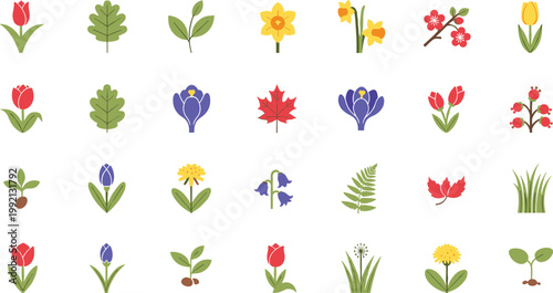 Spring flowers leaves and nature elements vector collection on white background