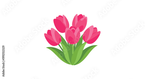 Five bright pink tulips are clustered closely together with wide layered green leaves at the base against a clean and minimalist white background space.