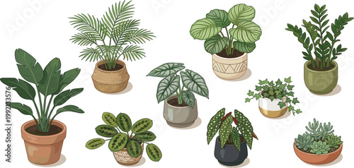 Collection of various potted houseplants in isometric view, showcasing diverse green foliage and decorative planters for home decor inspiration
