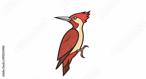Stylized cartoon woodpecker with red head, cream neck, and red body