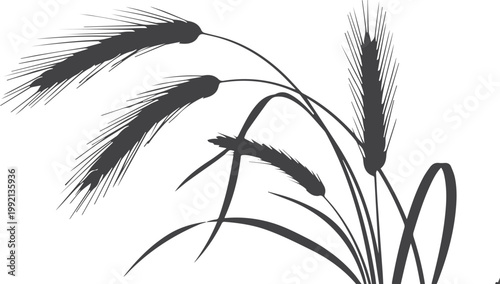 Black silhouette of wheat stalks against white background