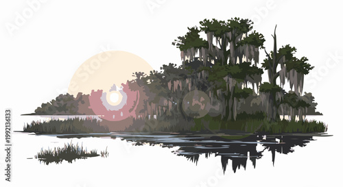 Sun setting over a swamp with moss-draped trees and water reflection