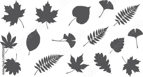 Collection of dark gray leaf silhouettes on white background
