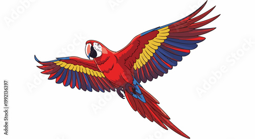 Vivid scarlet macaw in flight, wings spread wide, red, yellow, blue