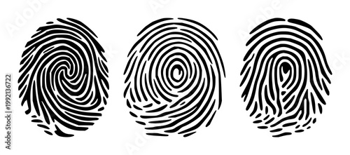 Biometric fingerprint scan loop set with solid black icon on white background featuring biometric, security, technology, health and identification