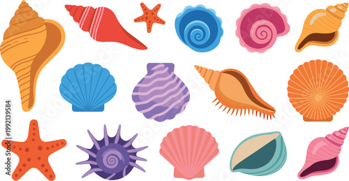 Colorful seashell and starfish collection isolated on white background, various marine shells and sea stars, ocean life illustration for beach, summer, and coastal design projects