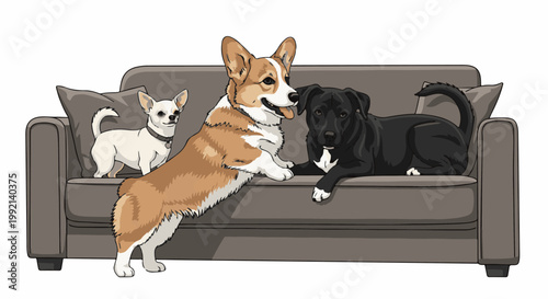 Three dogs, a small white one, a corgi, and a black one, sit on a couch
