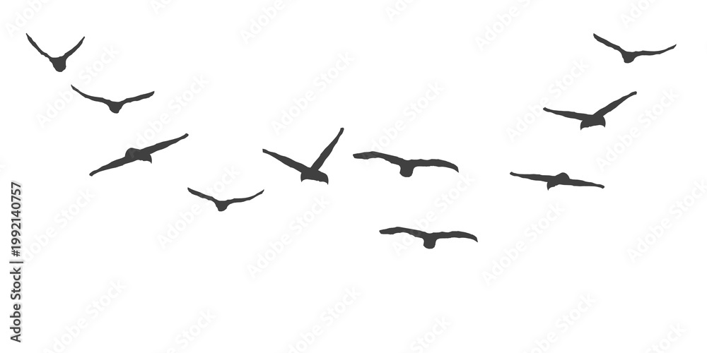 Fototapeta premium Group of wild birds soaring high in a curved formation against a stark empty space