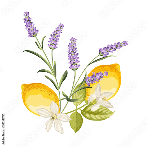 Lemons branch on white background.