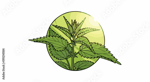 Stylized illustration of a green nettle plant with jagged leaves