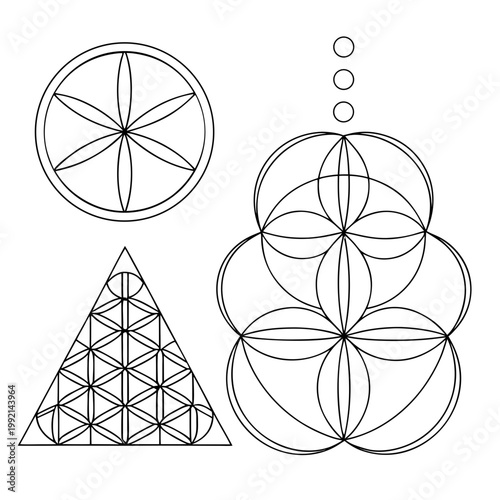 A vector graphic illustration of sacred geometric shapes and symbols in a minimalist design