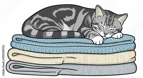 Tabby cat sleeping peacefully on a stack of warm, folded blankets