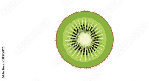 Highly detailed cross section of a fresh green kiwi fruit showing seeds and pulp structure against a white background.