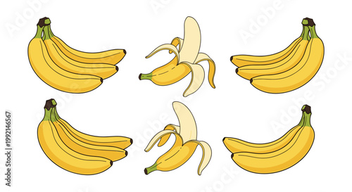 Set of fresh yellow banana illustrations including whole bunches and partially peeled fruit for healthy snack concepts.