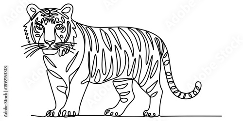 A black and white line art illustration of a majestic tiger standing on a flat surface. Vector, illustration