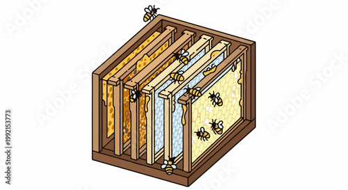 A wooden hive box displays several frames with bees and honeycomb structures