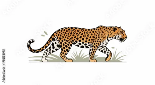 Fototapeta na wymiar A stylized leopard walks gracefully across a white background with a hint of green grass