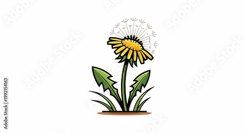 A stylized illustration of a dandelion with a yellow flower head and fluffy seed top