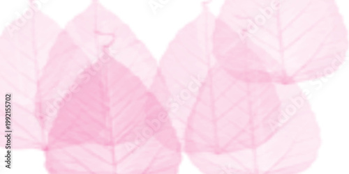 pink background with t Soft pink watercolor background with watercolor Pink scraped grungy r basoft pink texture with smoke and Grunge background frame Soft pink watercolor background. clouds. cd for 