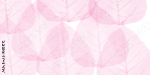 pink background with t Soft pink watercolor background with watercolor Pink scraped grungy r basoft pink texture with smoke and Grunge background frame Soft pink watercolor background. clouds. cd for 