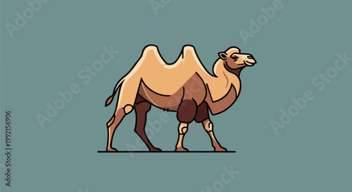 A stylized two-humped camel with a smooth, sandy coat and dark outlines