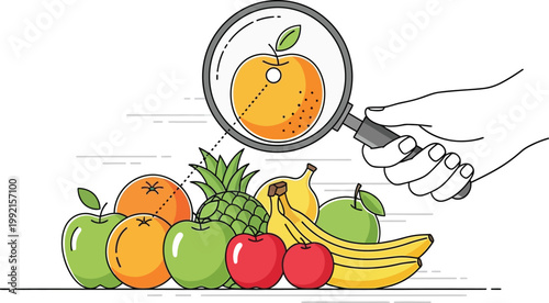 Human hand holding a magnifying glass to inspect various fresh fruits while searching for quality produce for healthy dietary needs