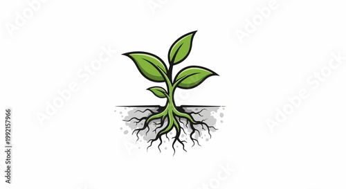 A stylized green plant with visible roots emerging from soil