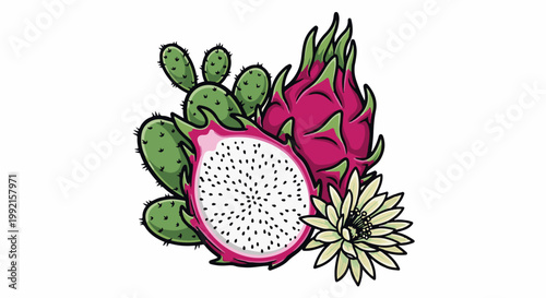 A vibrant illustration of dragon fruit, prickly pear cactus, and a delicate flower