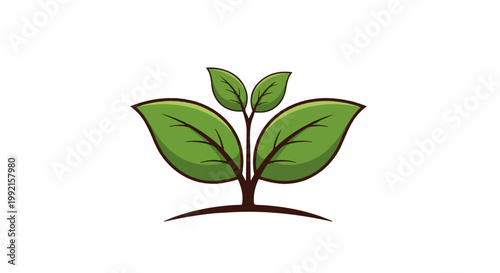 A stylized green sprout with two large leaves at the base and two smaller ones at the top