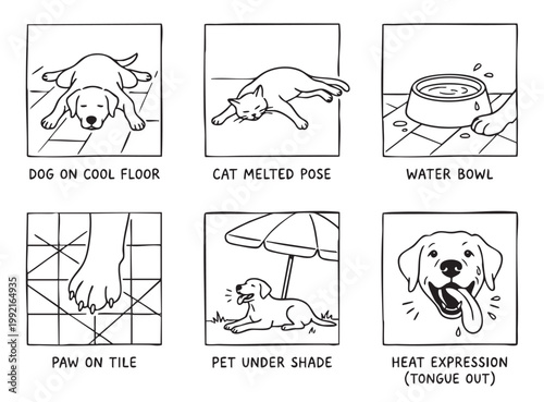 Preventing pets from overheating in summer heat