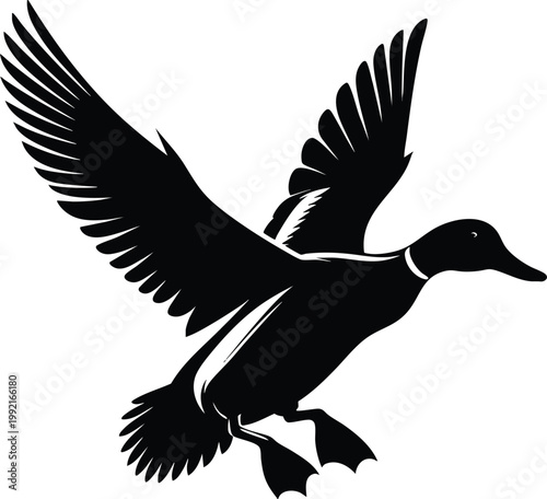 Silhouette of a mallard duck in flight a simple vector illustration for hunting or nature themes isolated on a white background