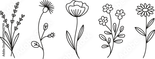 Vintage nature pattern featuring a seamless vector illustration of wheat ears, grass, and spring flowers in a floral sketch design