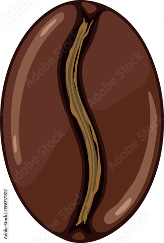 Roasted arabica coffee bean isolated on white background. Volumetric vector illustration of Coffea Arabica seed