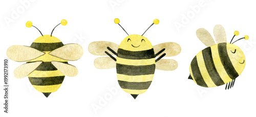 Set of vector watercolor bees.