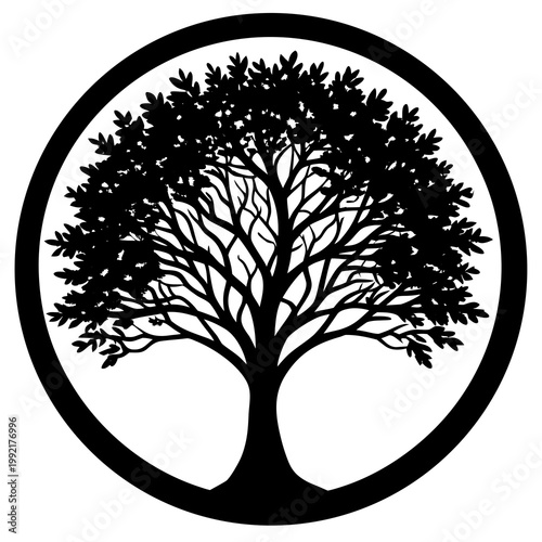 Tree Inside A Circle Frame Silhouette Transparent Background