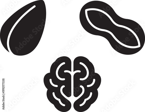 Nut icons with almond peanut and walnut 3 flat black glyph elements for healthy snack and food web design