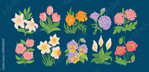 Flower garden set. Floral field. Plant lily, chrysanthemum in meadow. Natural botanical decor. Summer blooms. Spring blossom decorative sticker design. Vector cartoon flat style isolated illustration