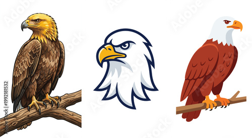 Eagle illustrations set collection bald eagle mascot wildlife bird vector realistic cartoon styles isolated background design